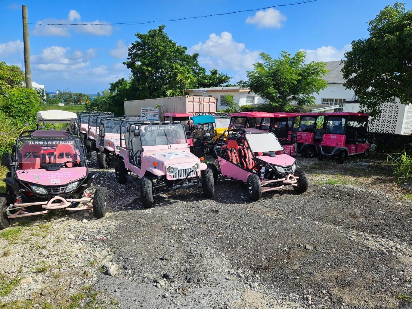 Da Pink And White Palace Nassau Exterior photo