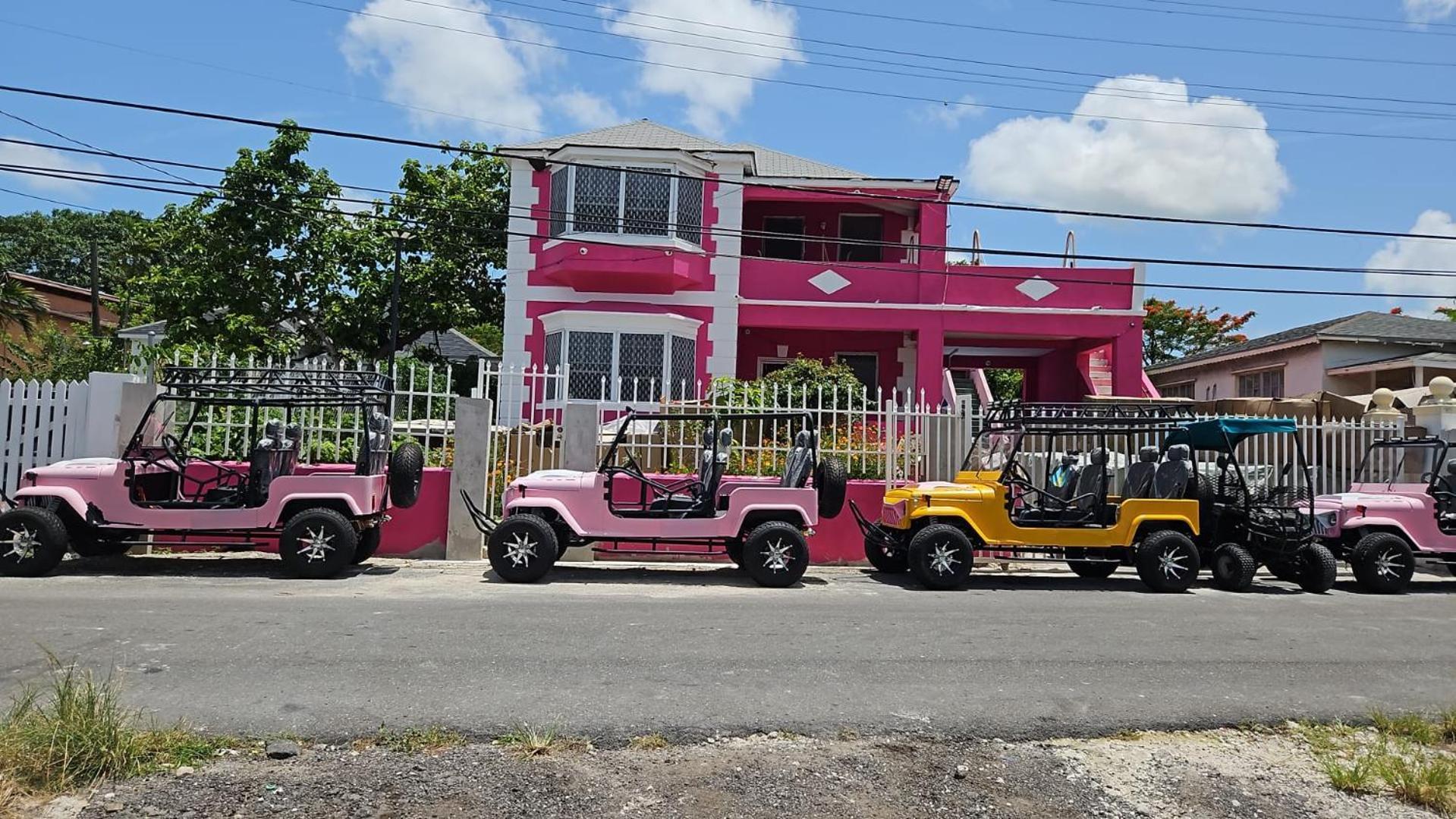 Da Pink And White Palace Nassau Exterior photo